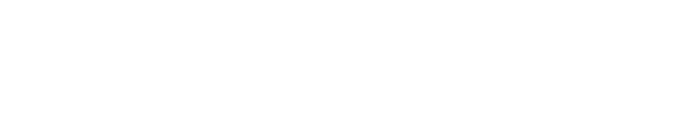 Dr Aarzoo Chawla